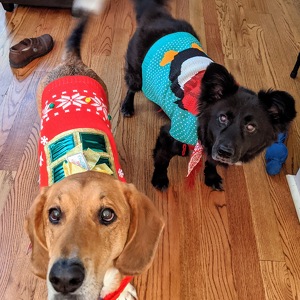 Fundraising Page: Tina Rouleau